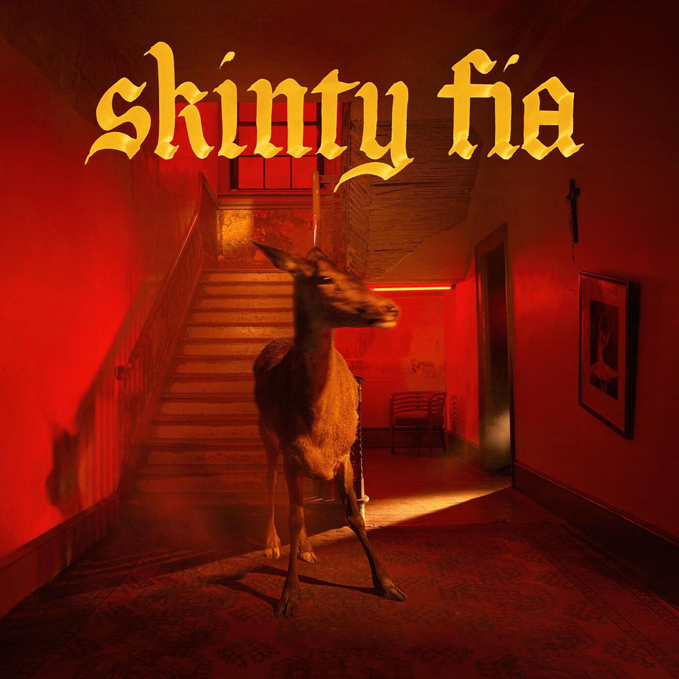 'Skinty Fia' album artwork