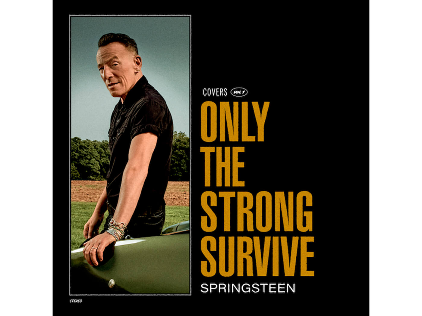 Bruce Springsteen announces new album, Only The Strong Survive